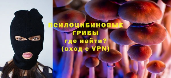 PSILOCYBIN Абинск