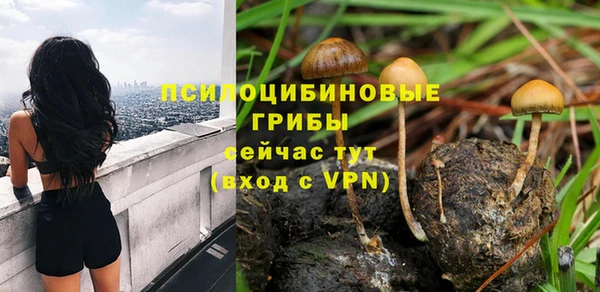 PSILOCYBIN Абинск