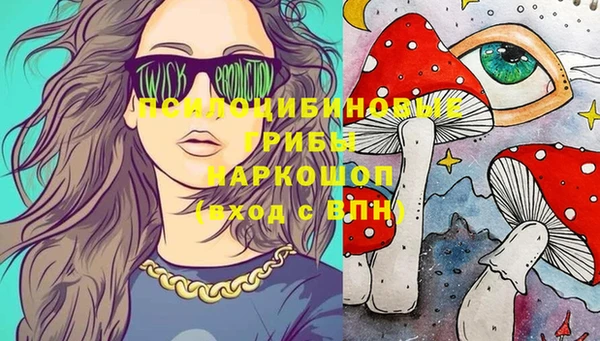 PSILOCYBIN Абинск