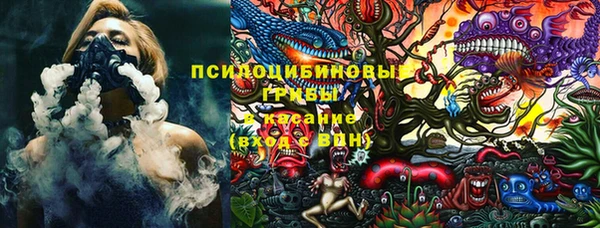 PSILOCYBIN Абинск