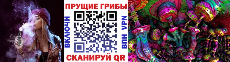 Галлюциногенные грибы прущие грибы  Новое Девяткино 